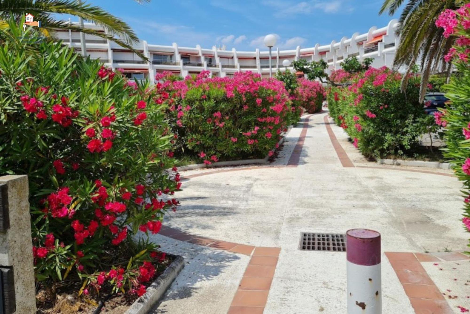 Apartment Le Pacifica: Beachfront With Parking, Wi-fi & Ac